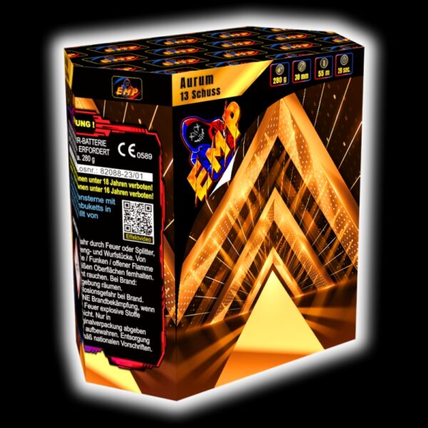 EMP Aurum 13 Schuss - Blackboxx -11-
